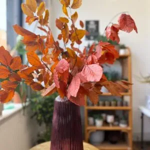 Autumn forever bunch