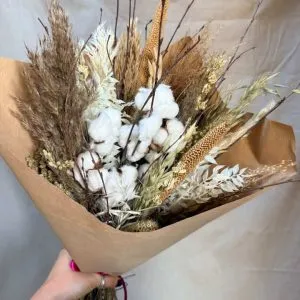 Cotton Dried Bunch